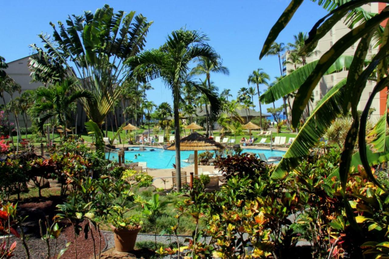 Kaanapali Shores 647 Vila Exterior foto